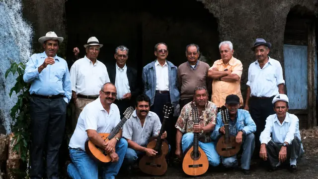 Grupo de verseadores y músicos de punto cubano, con laúdes y guitarras.
